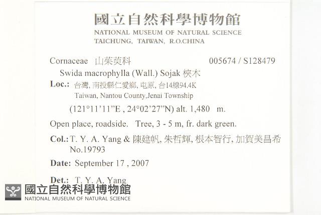 梜木藏品圖，第2張