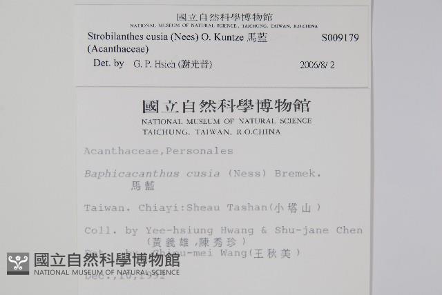 Accession Number:S009179 Collection Image, Figure 2, Total 2 Figures