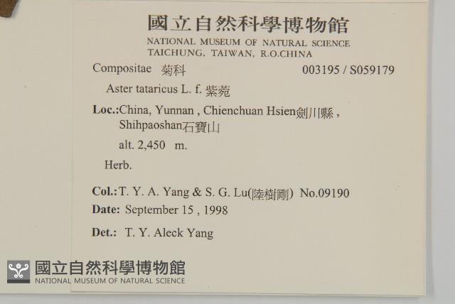 紫菀藏品圖，第2張