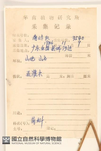 佩蘭、澤蘭藏品圖，第2張