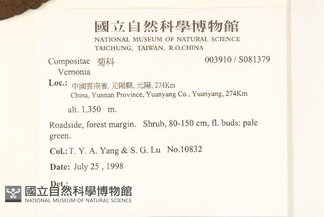 Accession Number:S081379 Collection Image, Figure 2, Total 2 Figures