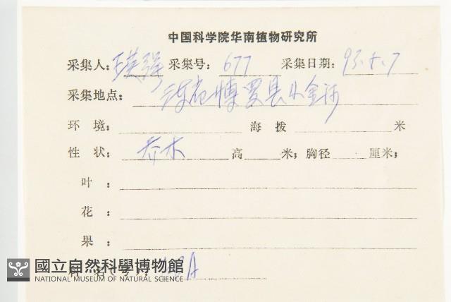 華杜英藏品圖，第2張