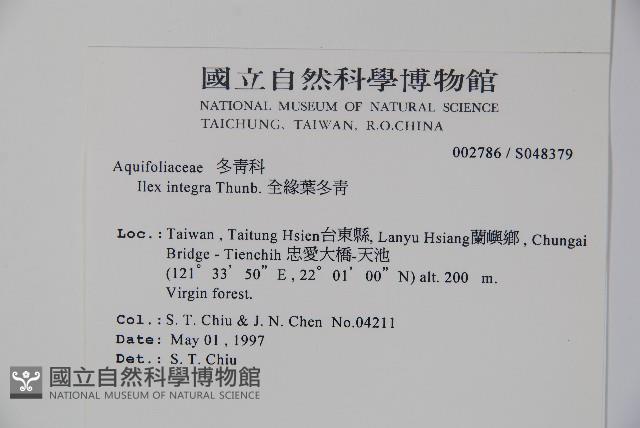 Birdlime holly Collection Image, Figure 2, Total 2 Figures