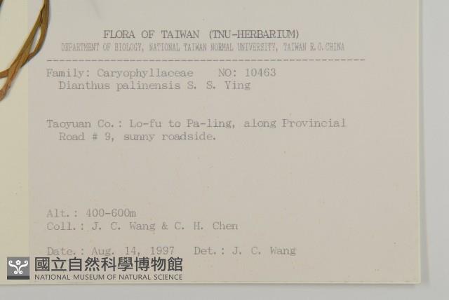 巴陵石竹藏品圖，第2張