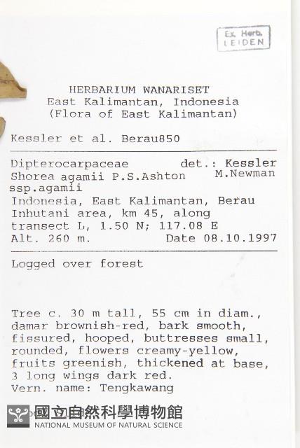 登錄號:S058879藏品圖，第2張