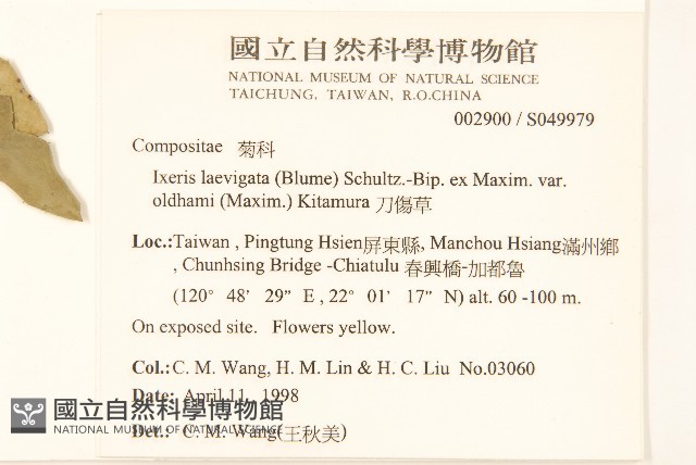 刀傷草藏品圖，第2張