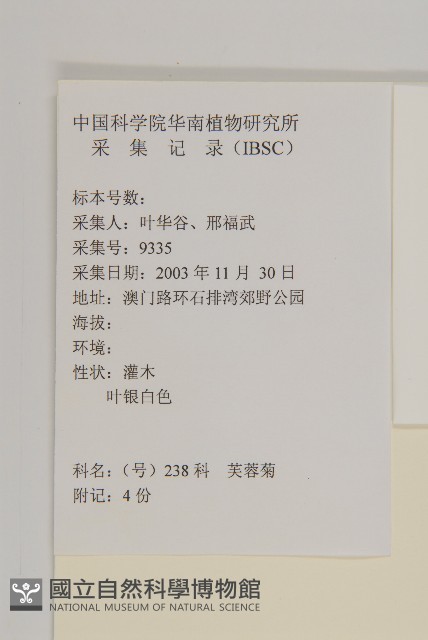 蘄艾、芙蓉菊藏品圖，第2張