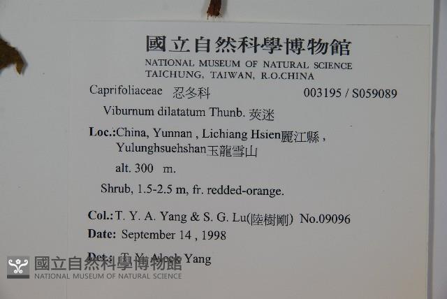 莢迷藏品圖，第2張