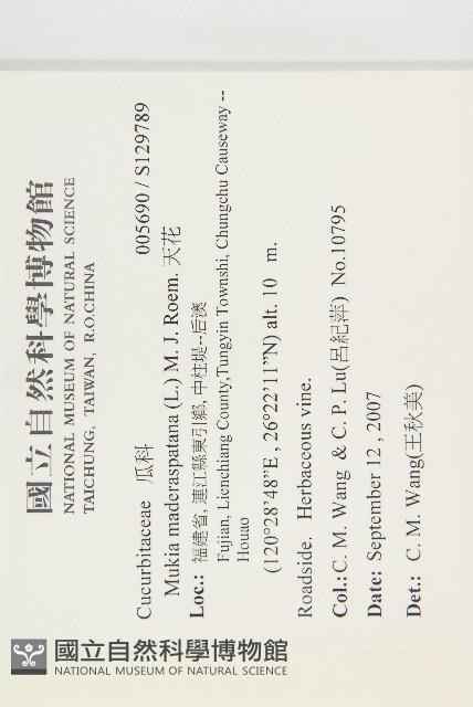 天花藏品圖，第2張