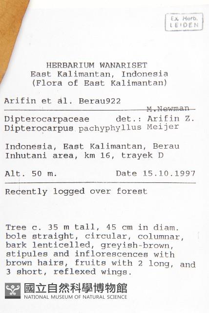 登錄號:S058789藏品圖，第2張