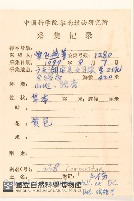 金鈕釦藏品圖，第2張