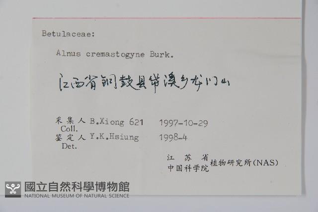 榿木藏品圖，第2張