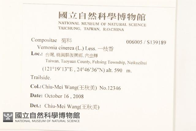 一枝香藏品圖，第2張