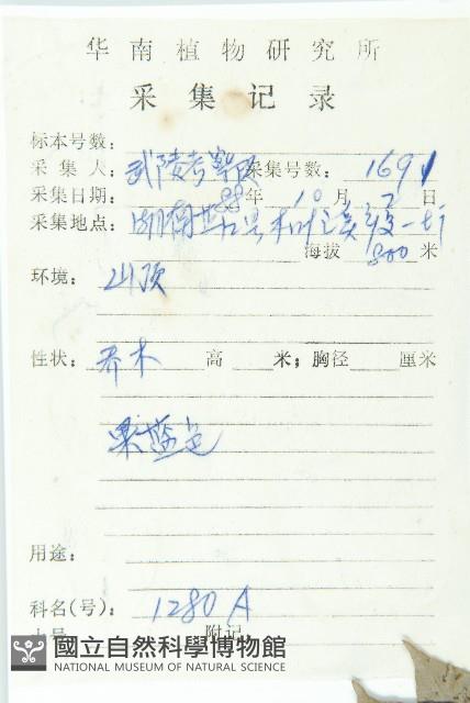 Japanese Elaeocapus Collection Image, Figure 2, Total 3 Figures