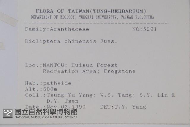 華九頭獅子草藏品圖，第2張