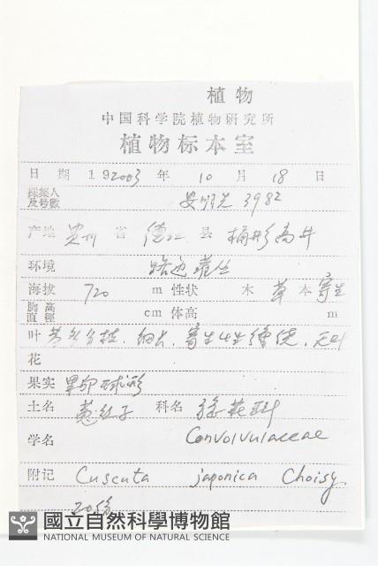 日本菟絲子藏品圖，第2張