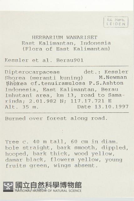 登錄號:S058889藏品圖，第2張