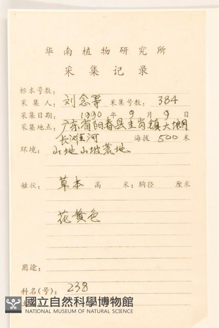 鼠麴草藏品圖，第2張