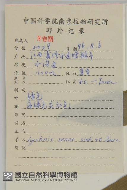 剪秋羅、剪秋紗、漢宮秋藏品圖，第2張