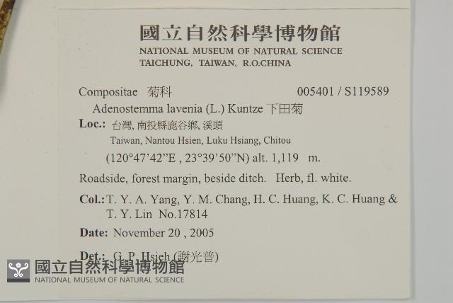 下田菊藏品圖，第2張