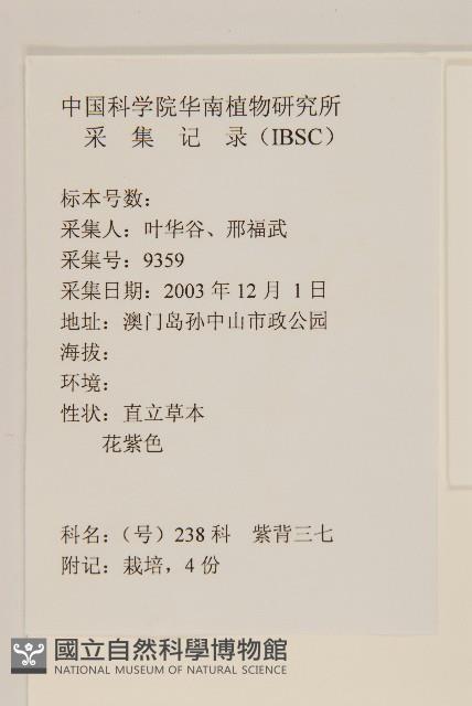 紅鳳菜藏品圖，第2張