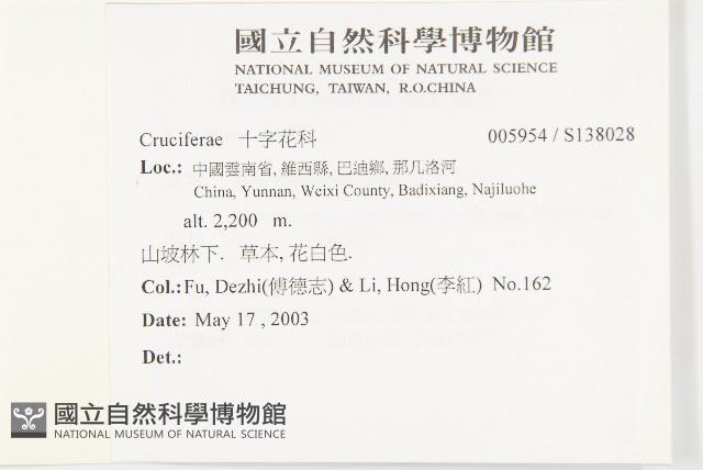 登錄號:S138028藏品圖，第2張