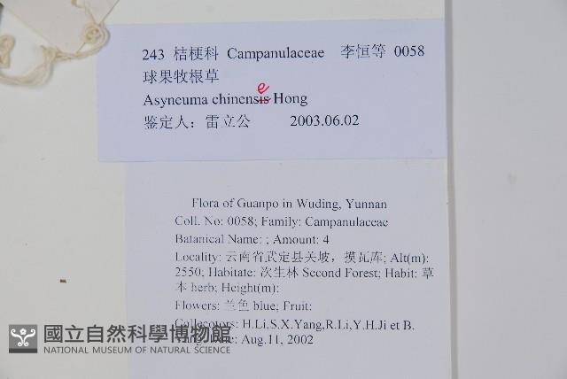 球果牧草根藏品圖，第2張