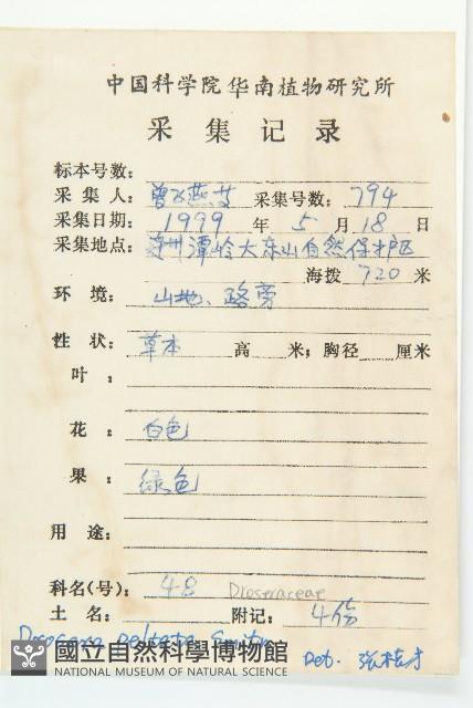 茅膏菜藏品圖，第2張