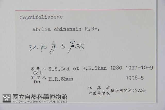 臺灣糯米條藏品圖，第2張