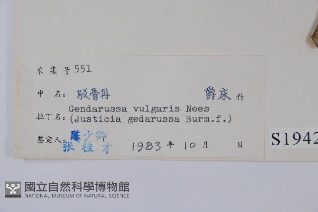 小駁骨丹、尖尾鳳藏品圖，第2張