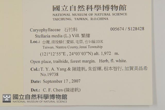 繁縷藏品圖，第2張