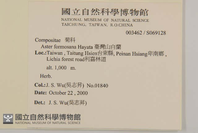 臺灣山白蘭藏品圖，第2張