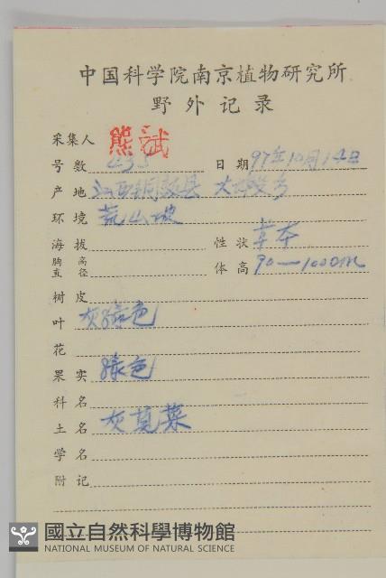 藜、灰藜藏品圖，第2張