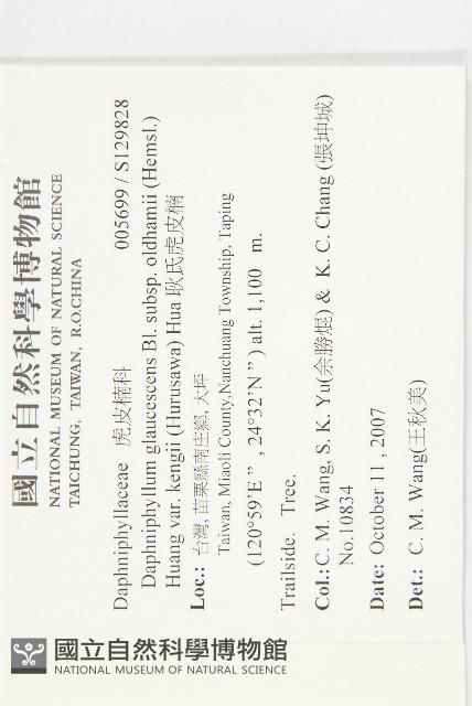 耿氏虎皮楠藏品圖，第2張