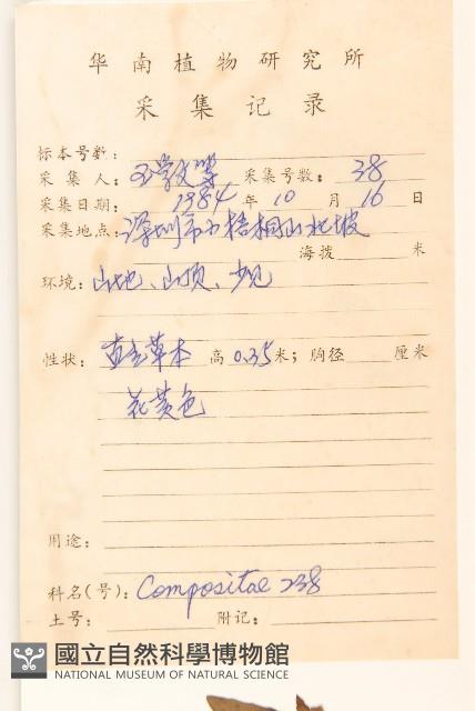 金鈕釦藏品圖，第2張