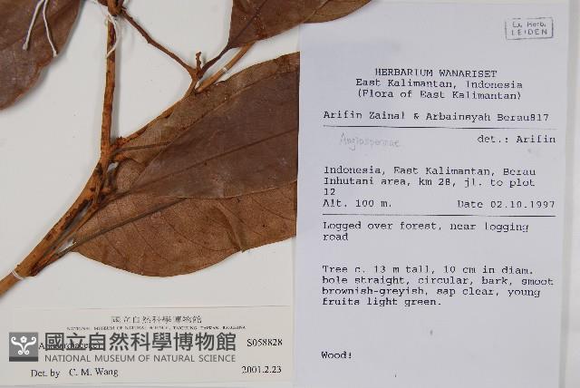 登錄號:S058828藏品圖，第2張