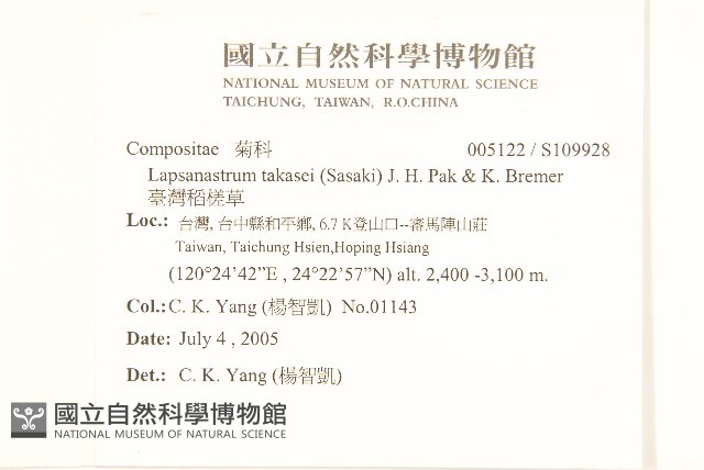 臺灣稻槎草藏品圖，第2張
