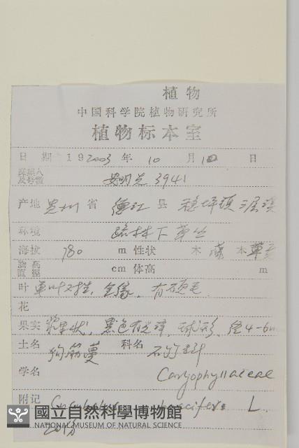 狗筋蔓藏品圖，第2張