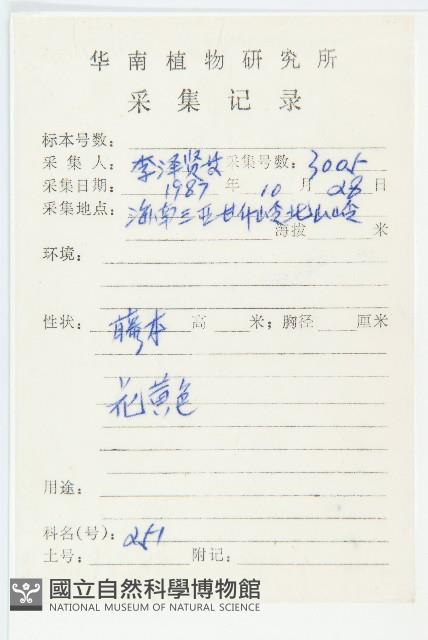 豬菜藤藏品圖，第2張