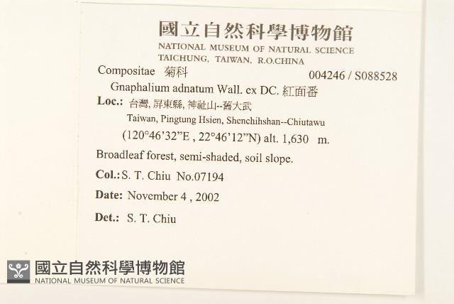 紅面番藏品圖，第2張