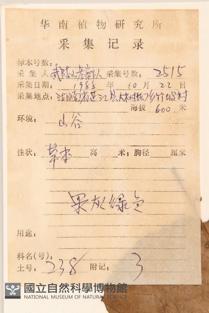 Accession Number:S039608 Collection Image, Figure 2, Total 3 Figures