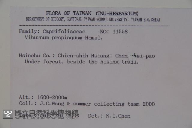 高山莢迷藏品圖，第2張