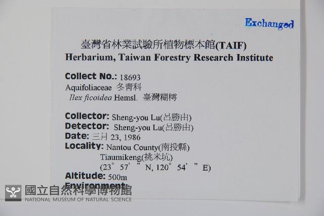 臺灣糊樗藏品圖，第2張