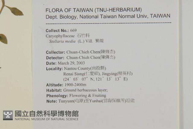 繁縷藏品圖，第2張