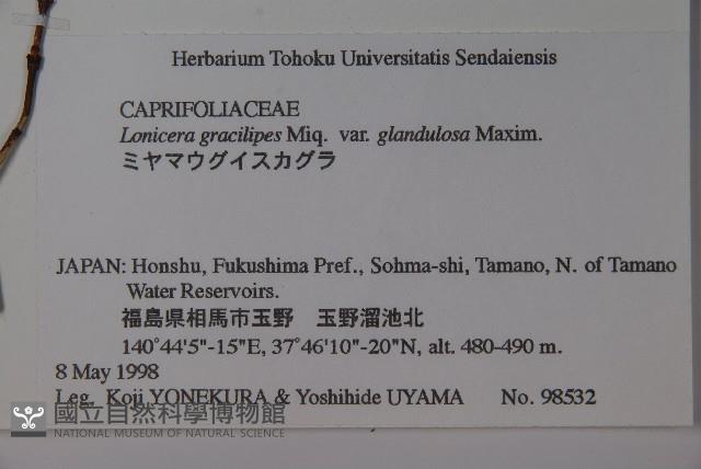 登錄號:S058408藏品圖，第2張