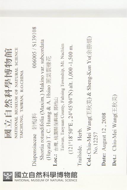 圓葉裂緣花藏品圖，第2張