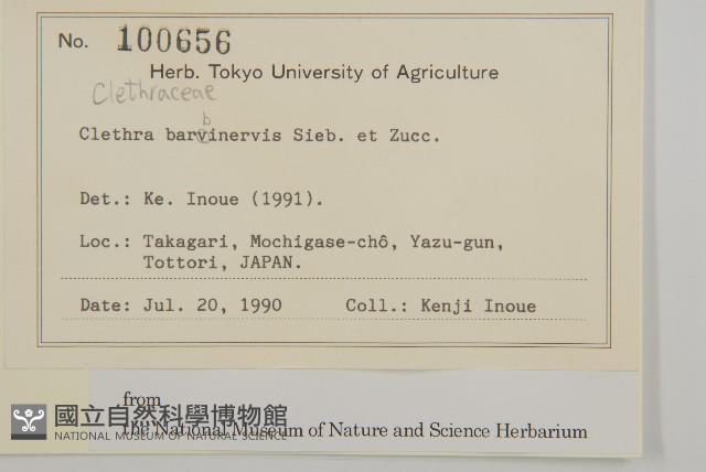 華東山柳藏品圖，第2張