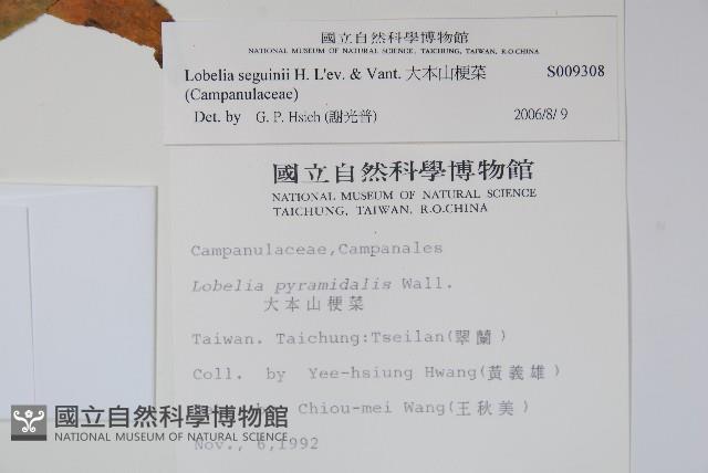 Accession Number:S009308 Collection Image, Figure 2, Total 2 Figures