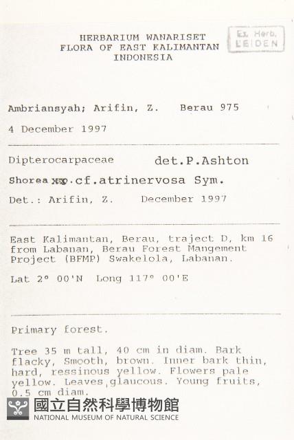 登錄號:S069808藏品圖，第2張