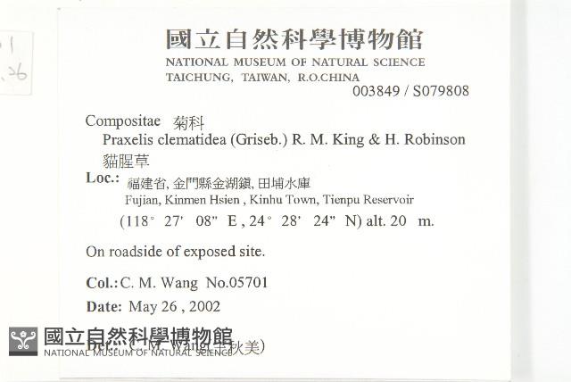 貓腥草藏品圖，第2張